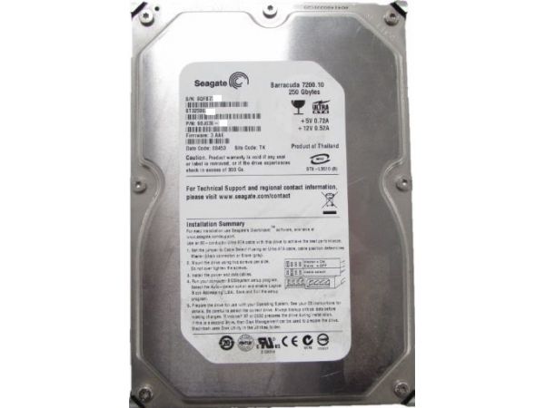 250 GB Seagate Digital 3.5 İNÇ Güvenlik Harddiski