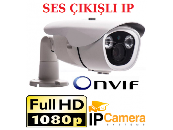 2MP 1080P İki Duble  Atom Led Ses Girişli  Bullet IP Güvenlik Kamerası AR-5243